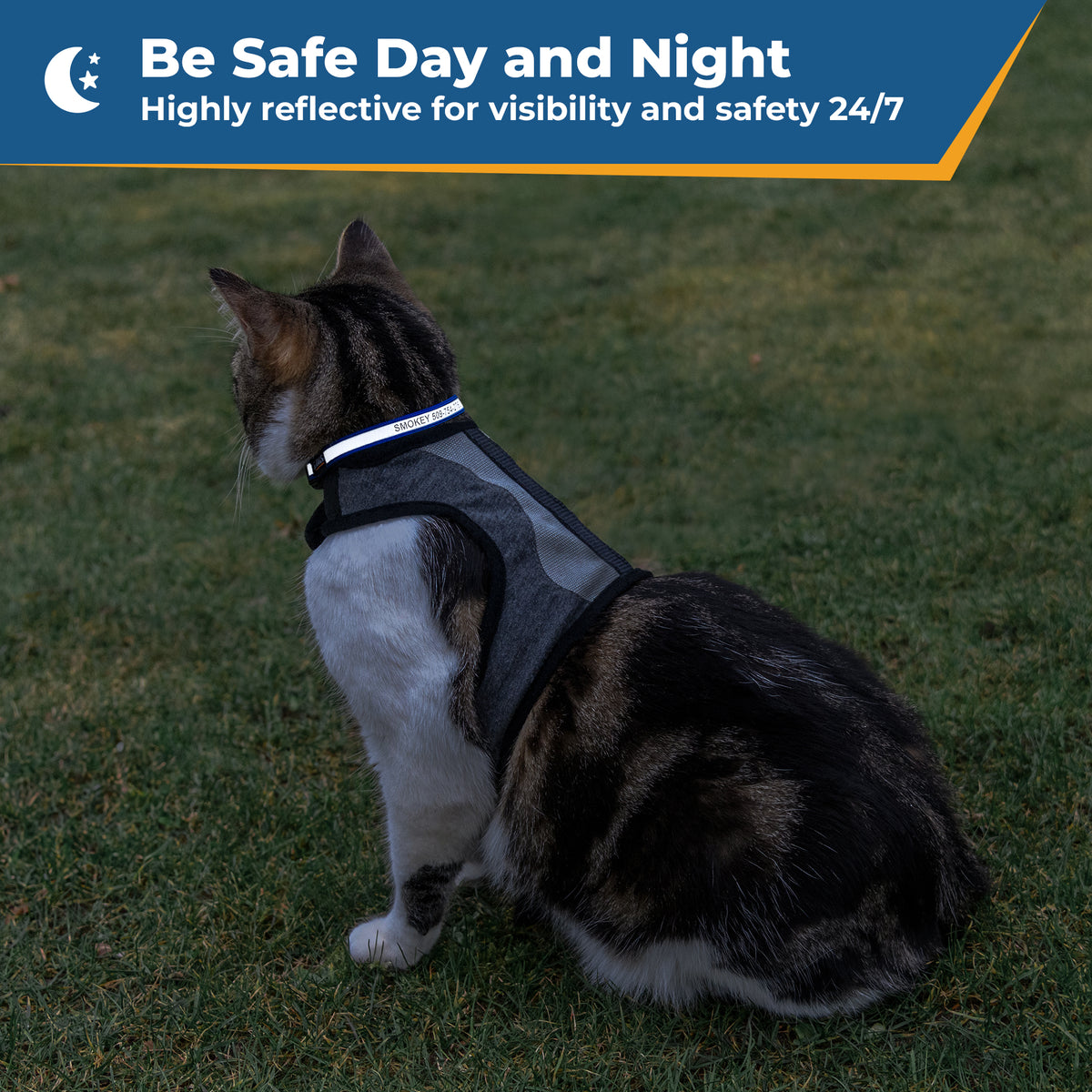 Rear view of reflective cat collar showcasing its reflective band and engraving; blue banner reads Be Safe Day and Night