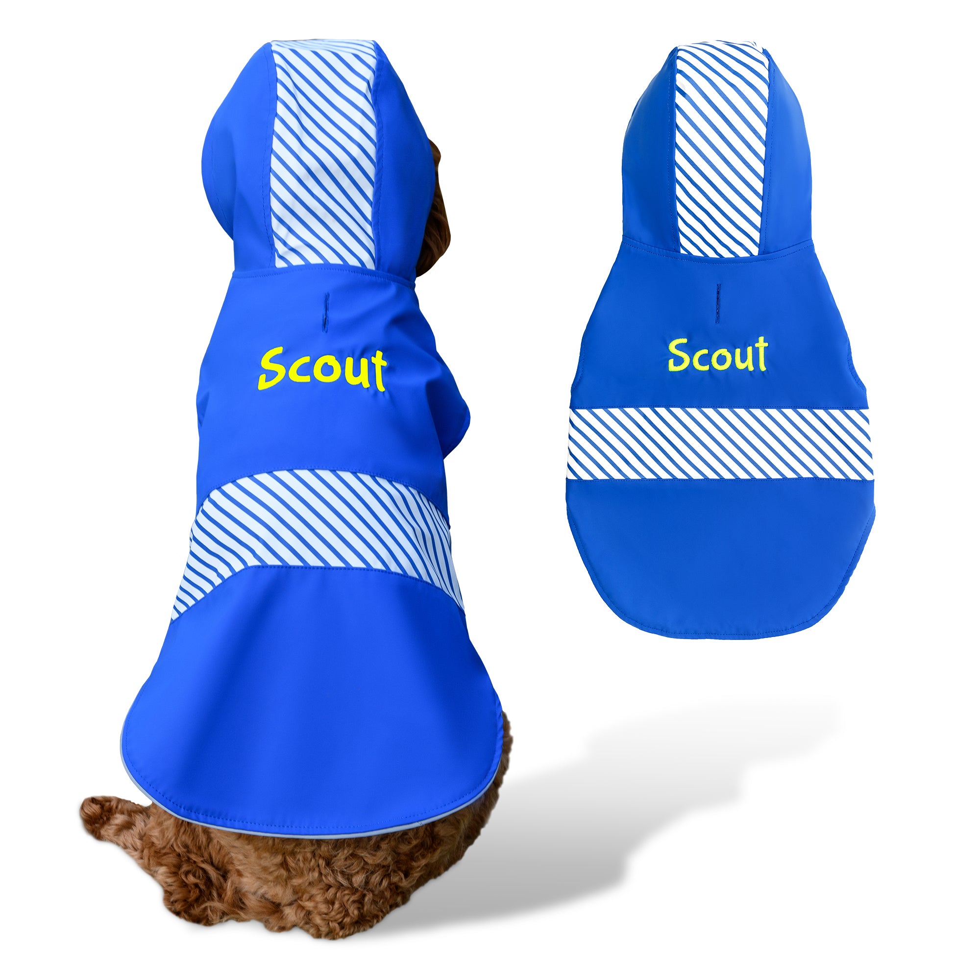 Back view of blue personalized dog raincoat with hood showing embroidered name Scout and reflective stripes on white