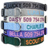 Close-up stacked view of embroidered personalized dog collars showcasing embroidered names and phone numbers, quick-release buckles and metal D-rings on white background