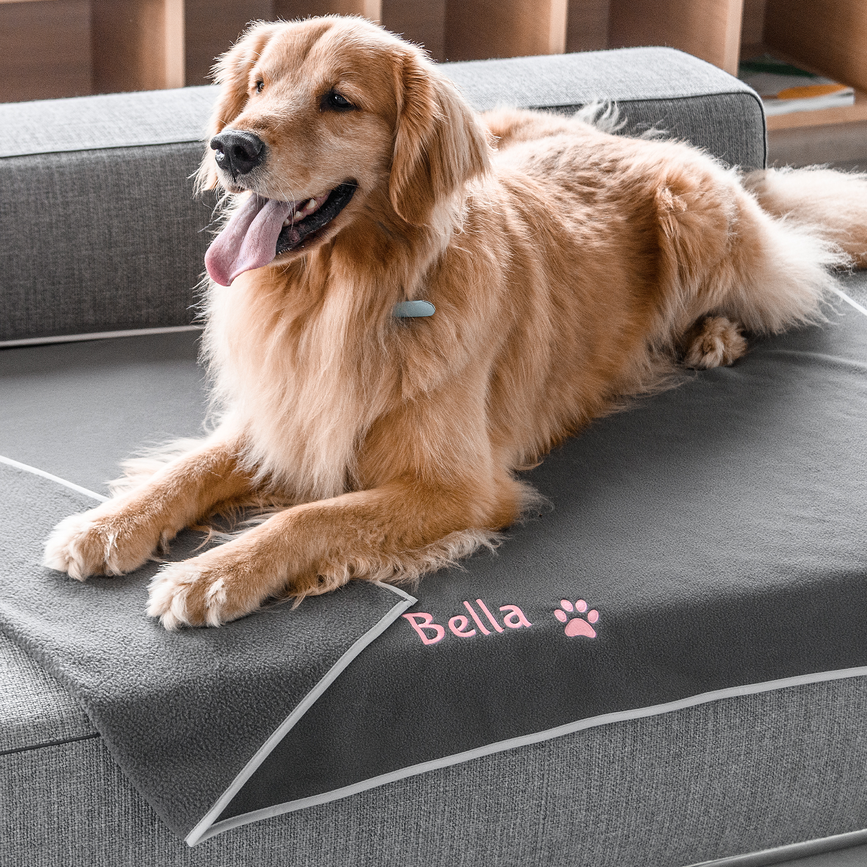 Angled view of gray fleece personalized dog blanket showing pink embroidered name Bella and paw print on a sofa