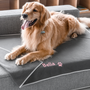 Angled view of gray fleece personalized dog blanket showing pink embroidered name Bella and paw print on a sofa