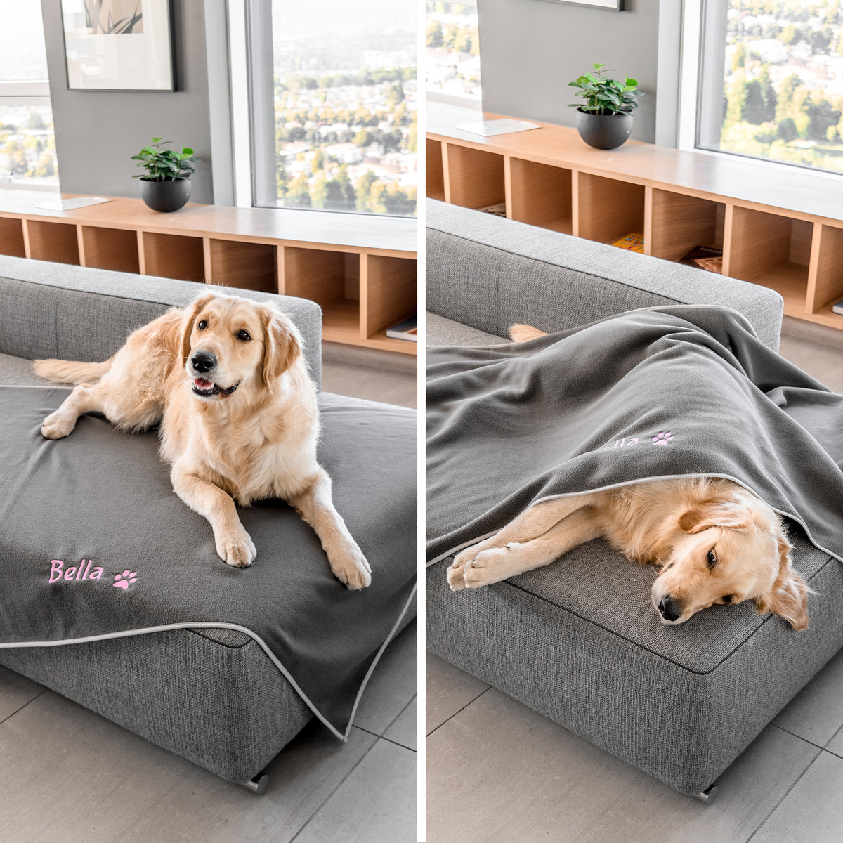 Gray personalized fleece dog blanket with embroidered name and paw shown with a golden retriever on a couch