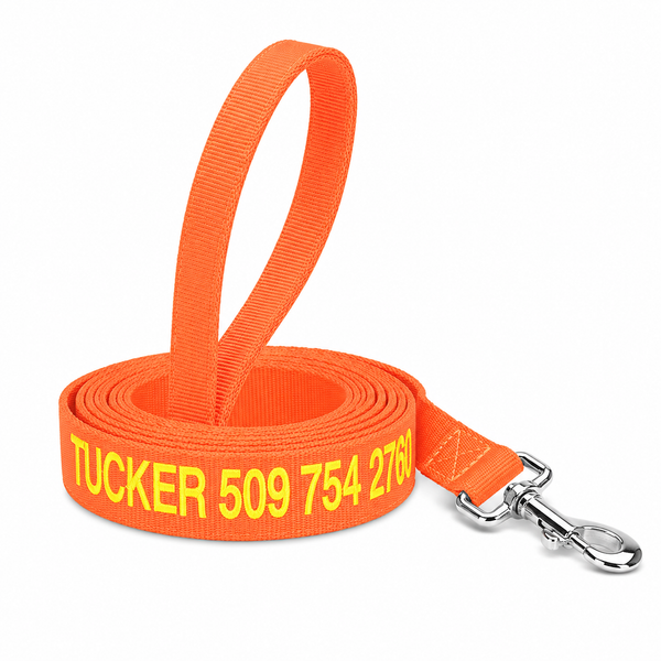 6 Foot Personalized Nylon Dog Leash