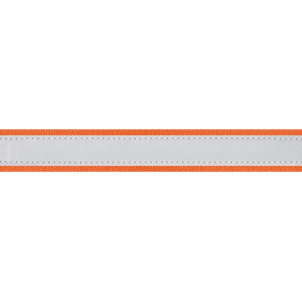 Personalized Embroidered Reflective Dog Collar with Metal Buckle