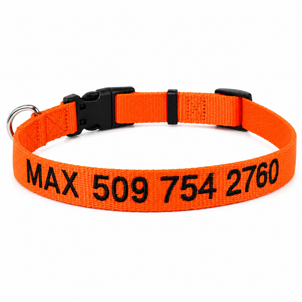 Embroidered Personalized Dog Collar with Quick Release Buckle