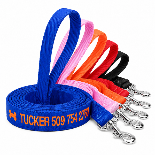 6 Foot Personalized Nylon Dog Leash
