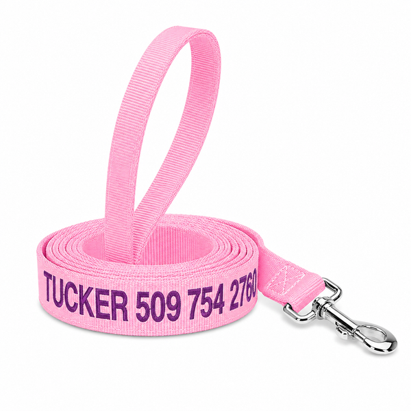 6 Foot Personalized Nylon Dog Leash