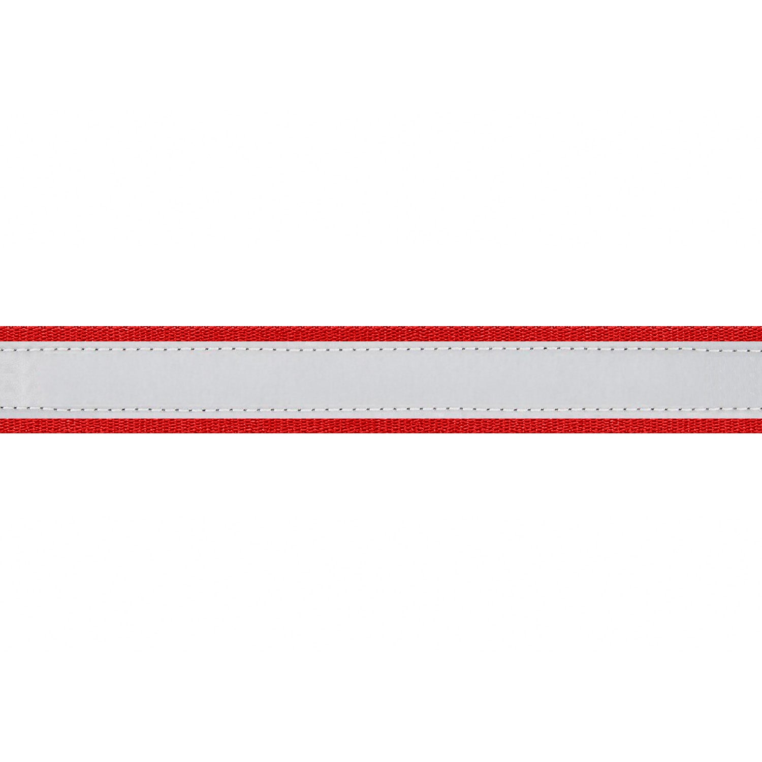 Close-up of personalized reflective dog collar showing gray reflective center stripe, red edges, and stitched trim on white background
