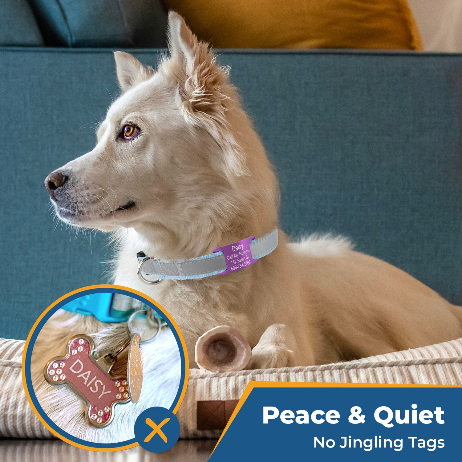 Personalized Reflective Dog Collar with Quick Release Buckle, Aluminum Nameplate