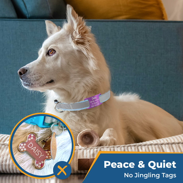 Personalized Reflective Dog Collar with Quick Release Buckle, Aluminum Nameplate
