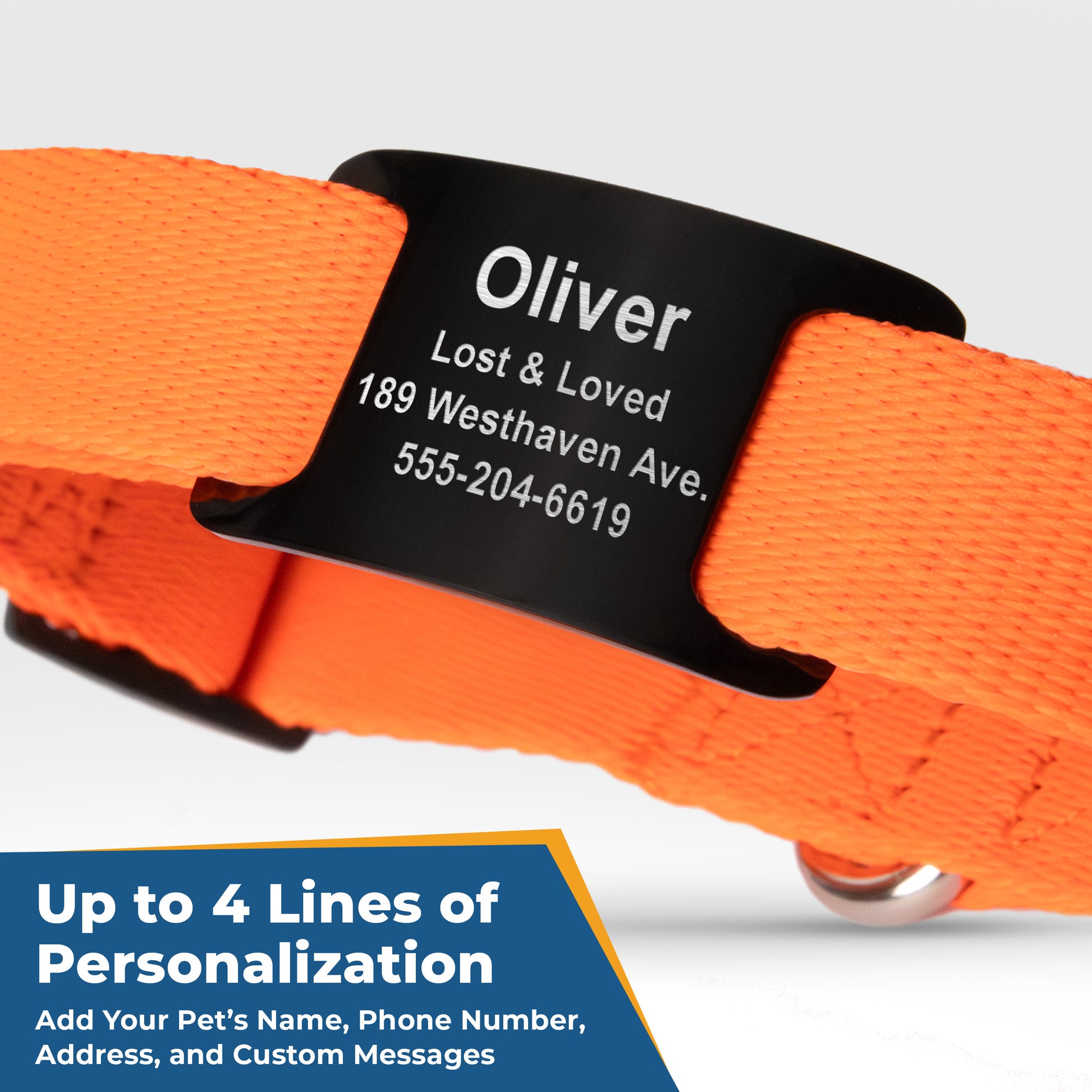 Close-up of orange reflective dog collar with stainless-steel slide-on nameplate; blue label Up to 4 Lines of Personalization