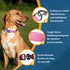 Banner showing dog wearing pink reflective collar with callouts: D-Ring, nylon webbing, quick-release buckle