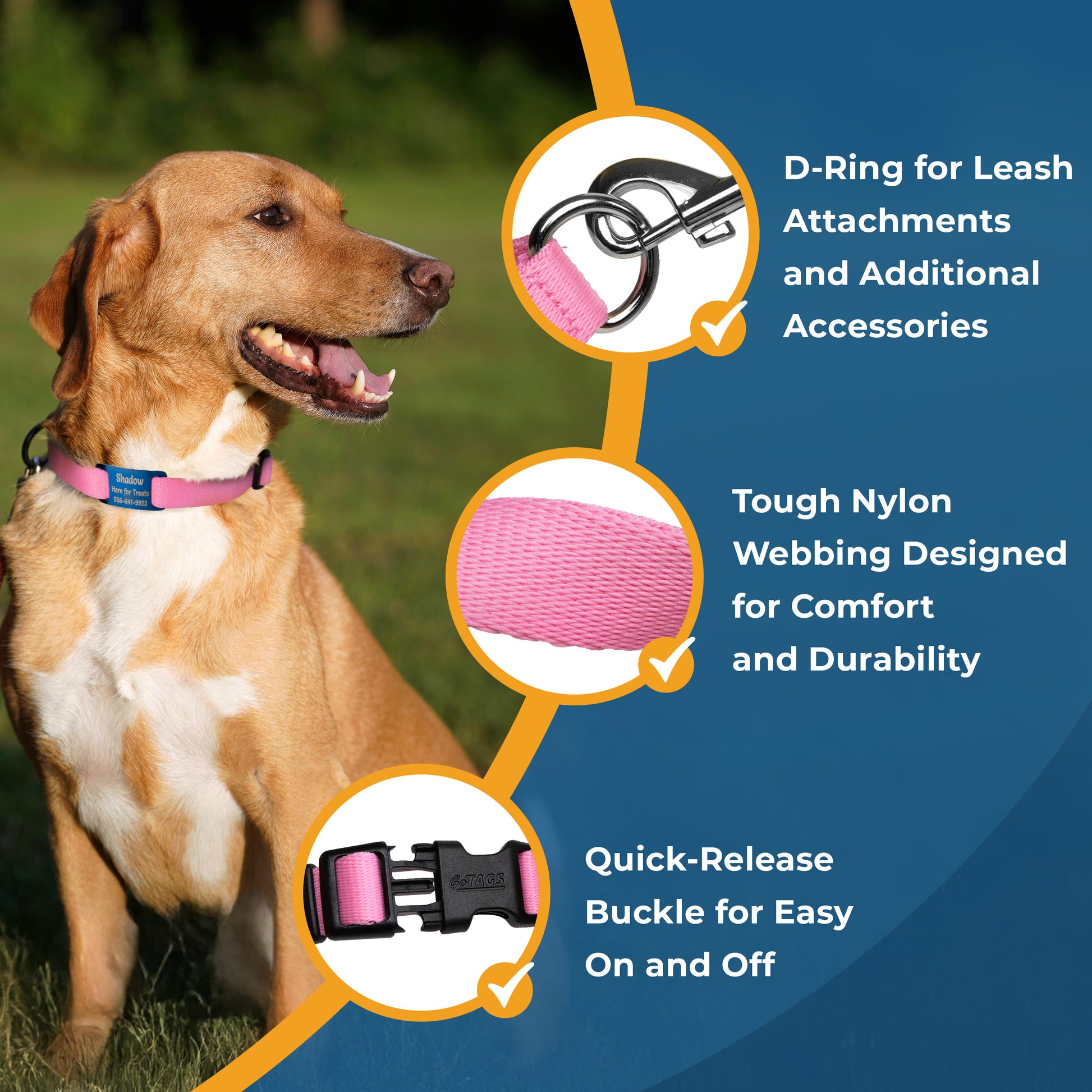 Banner showing dog wearing pink reflective collar with callouts: D-Ring, nylon webbing, quick-release buckle
