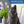 Load image into Gallery viewer, Personalized Reflective Cat Collar with Silent Aluminum Tag and Safety Buckle
