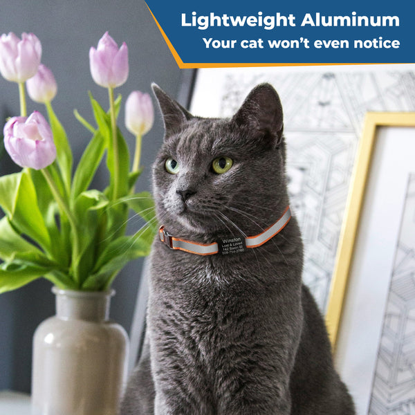 Personalized Reflective Cat Collar with Silent Aluminum Tag and Safety Buckle