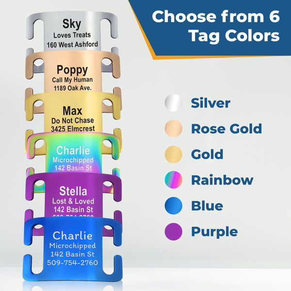 Dog Collar with Personalized Slide-On Nameplate in Stainless Steel
