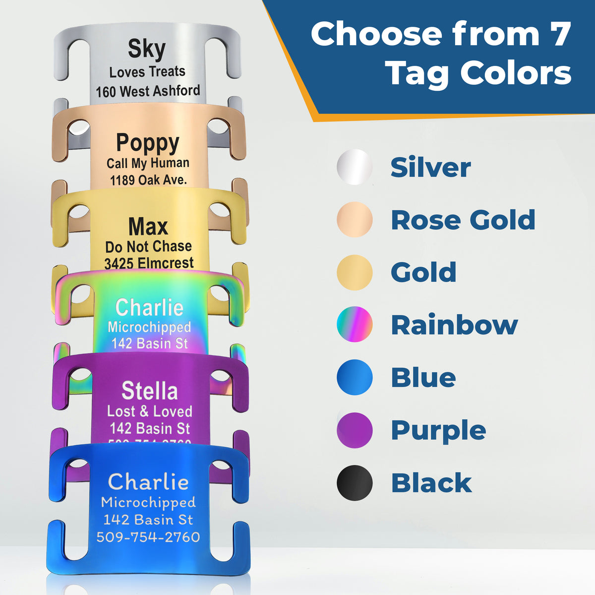 Dog Collar with Personalized Slide-On Nameplate in Stainless Steel