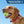 Load image into Gallery viewer, Bone Silent Silicone Dog ID Tag - 9 Designs
