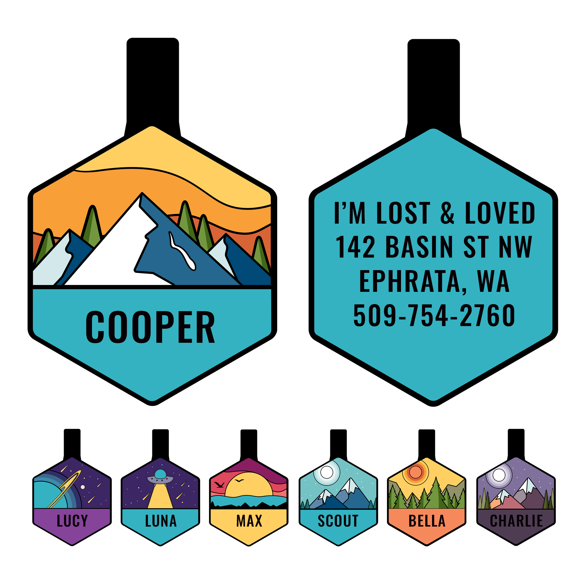 Front and back of Hexagon Silicone Dog ID Tag showing mountain design with Cooper on front and engraved address and phone on teal back
