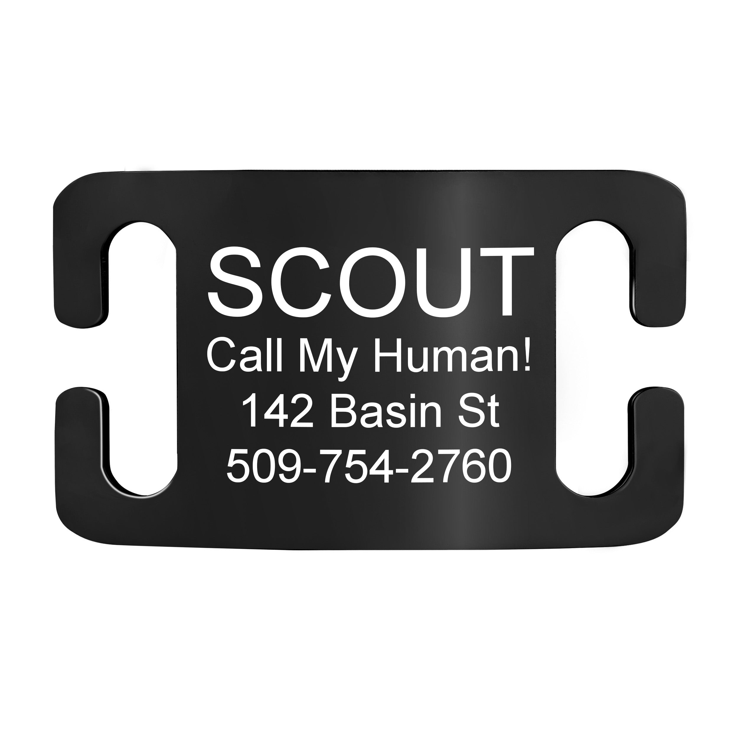Silent Slide-On Pet ID Tag in Stainless Steel - Fits Most Collars