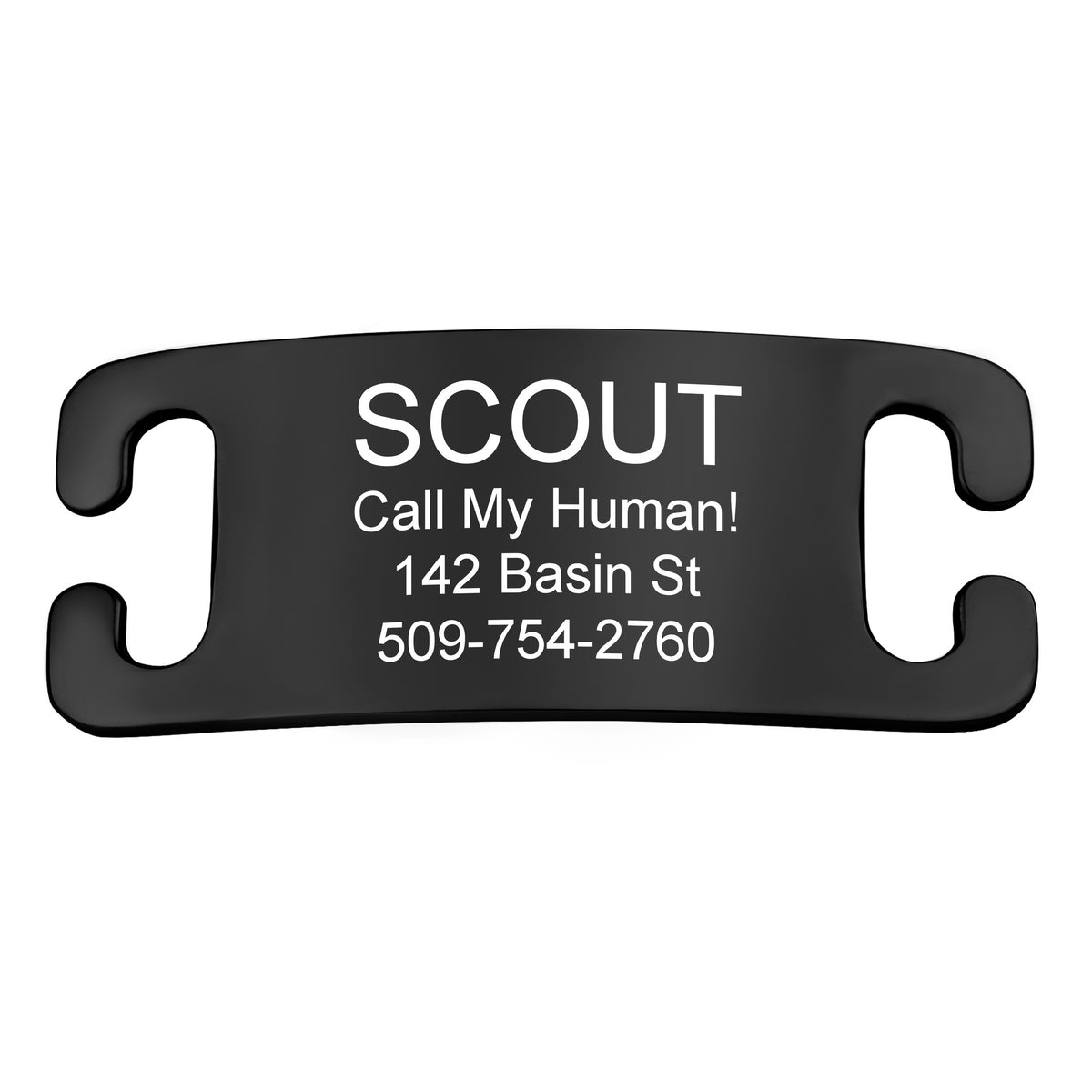 Silent Slide-On Pet ID Tag in Stainless Steel - Fits Most Collars
