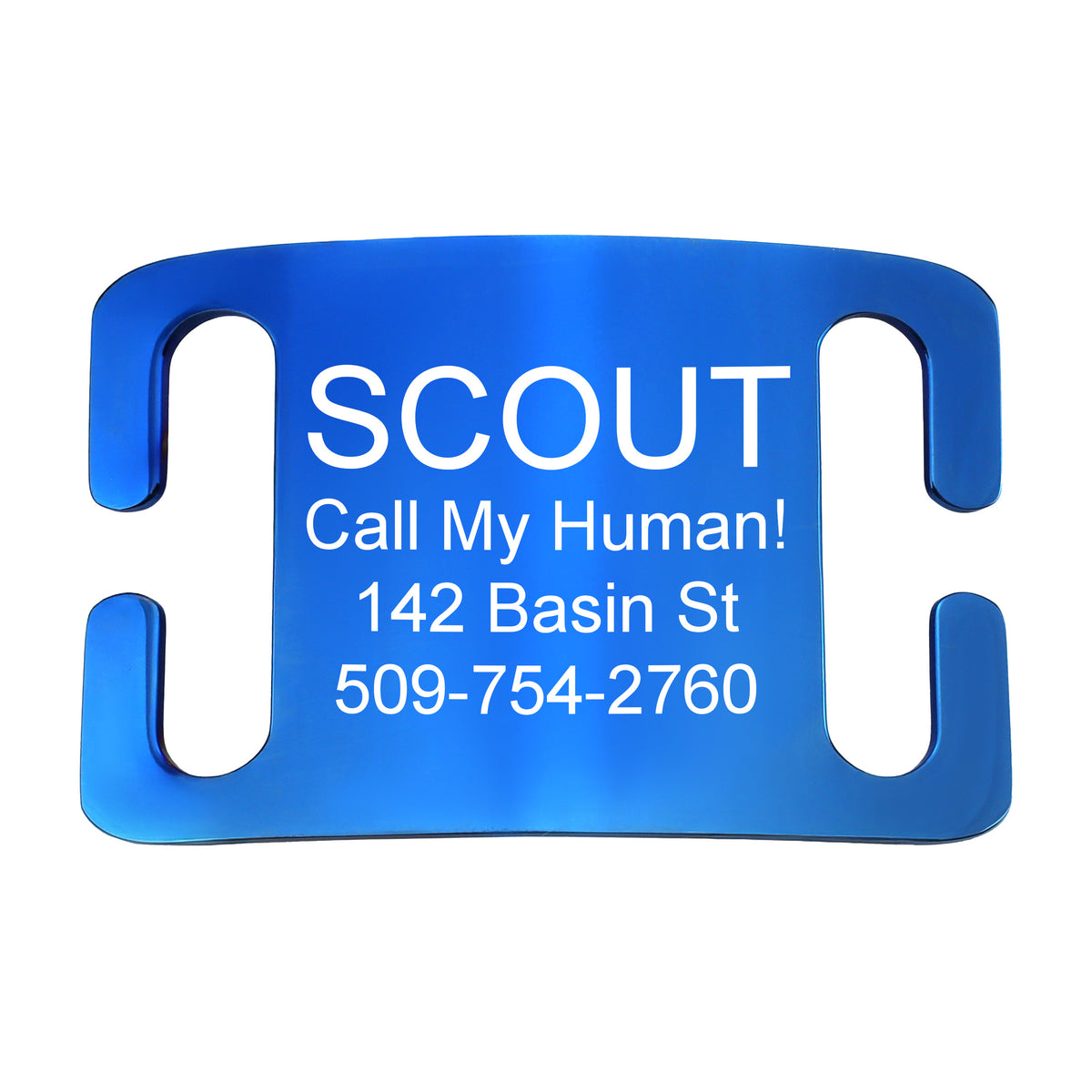 Silent Slide-On Pet ID Tag in Stainless Steel - Fits Most Collars