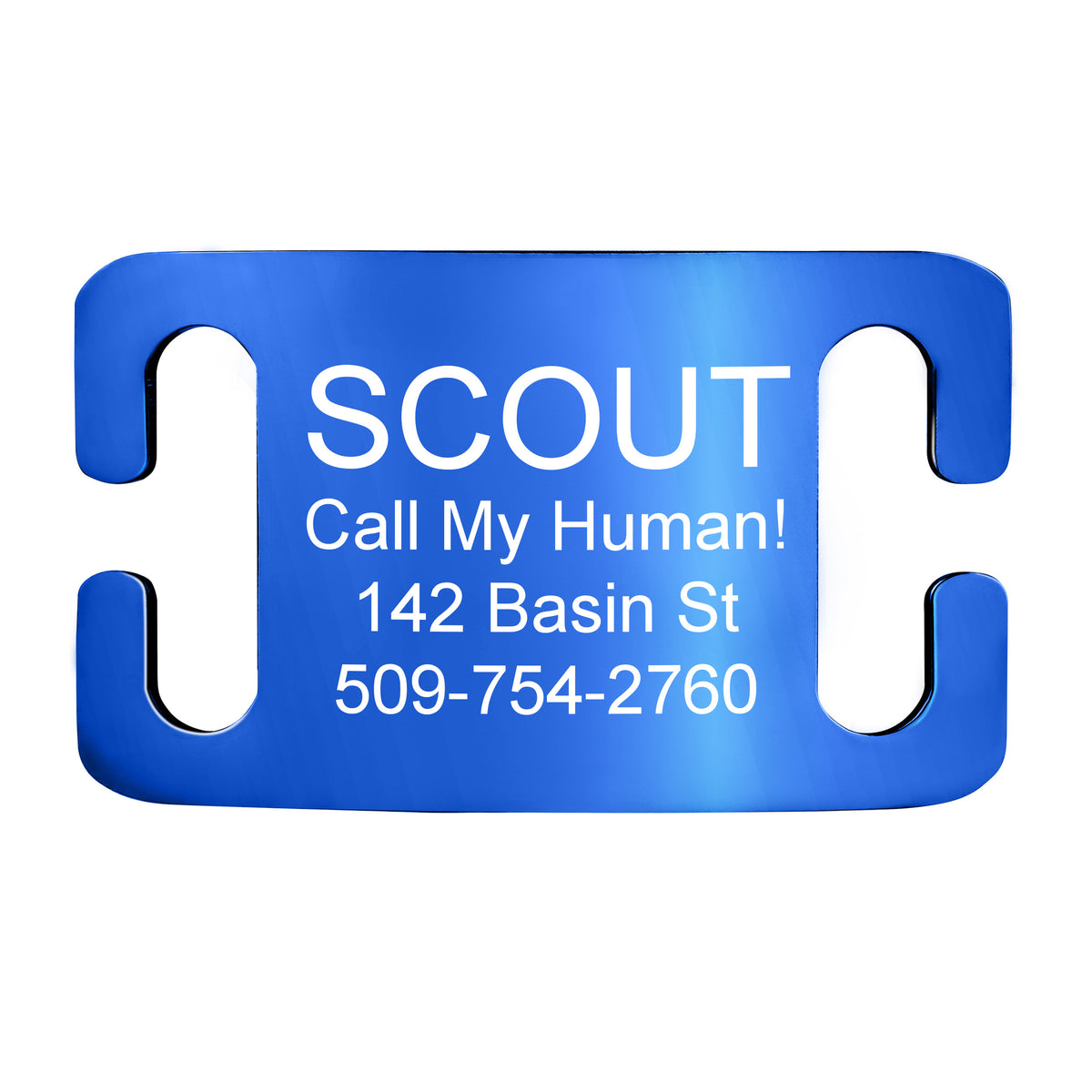 Silent Slide-On Pet ID Tag in Stainless Steel - Fits Most Collars