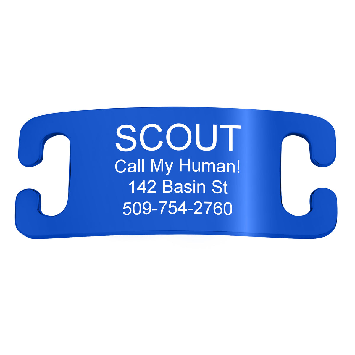 Silent Slide-On Pet ID Tag in Stainless Steel - Fits Most Collars