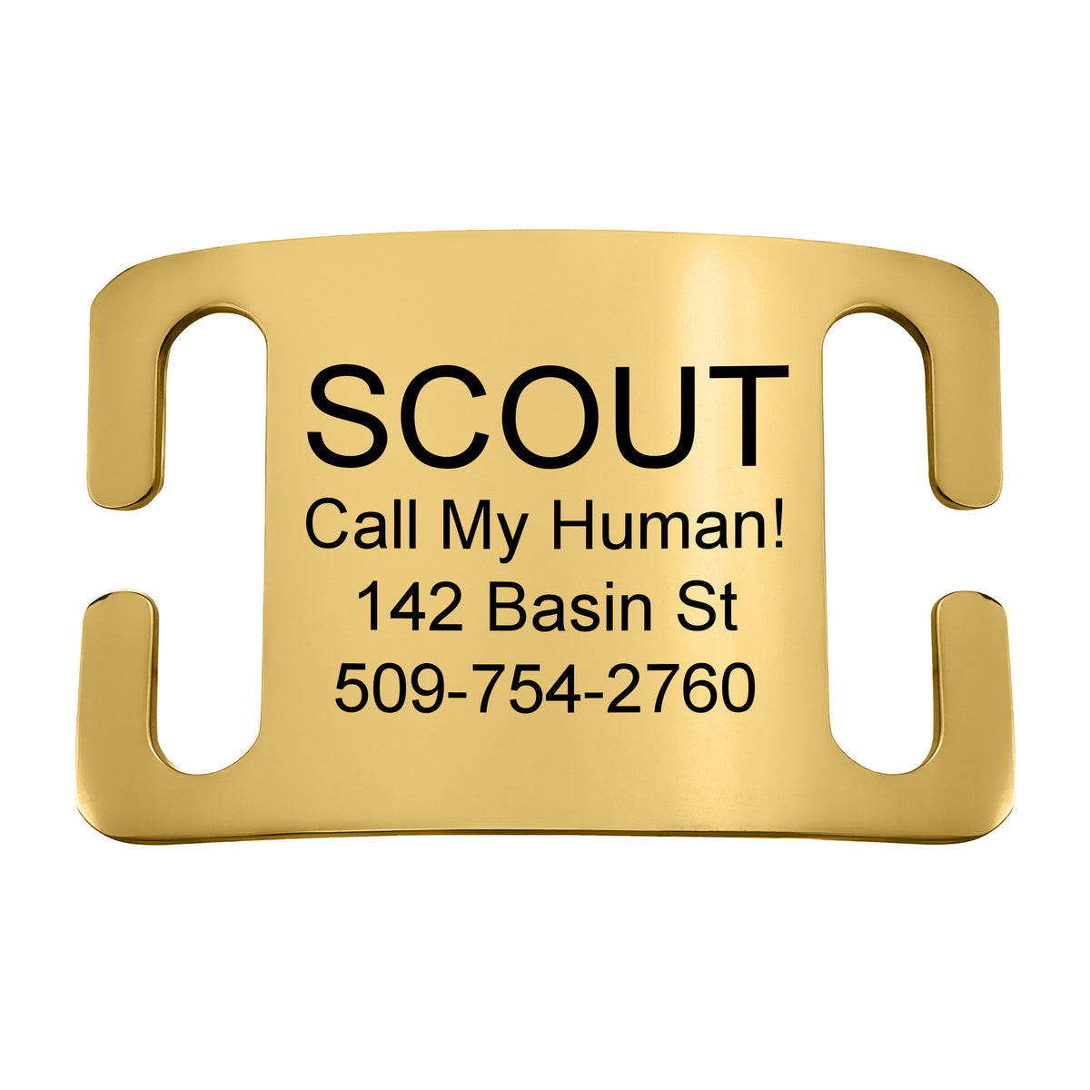 Silent Slide-On Pet ID Tag in Stainless Steel - Fits Most Collars