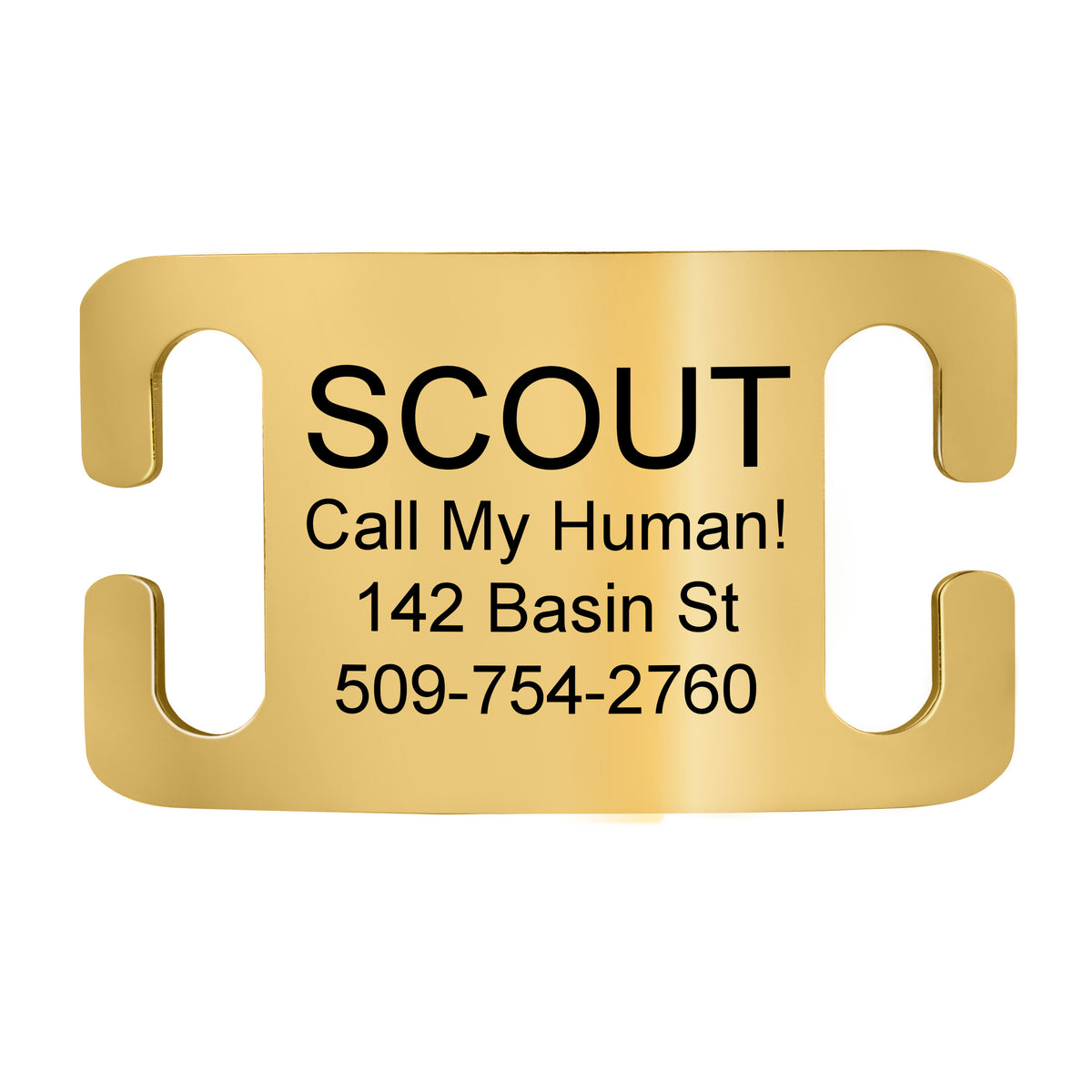 Silent Slide-On Pet ID Tag in Stainless Steel - Fits Most Collars