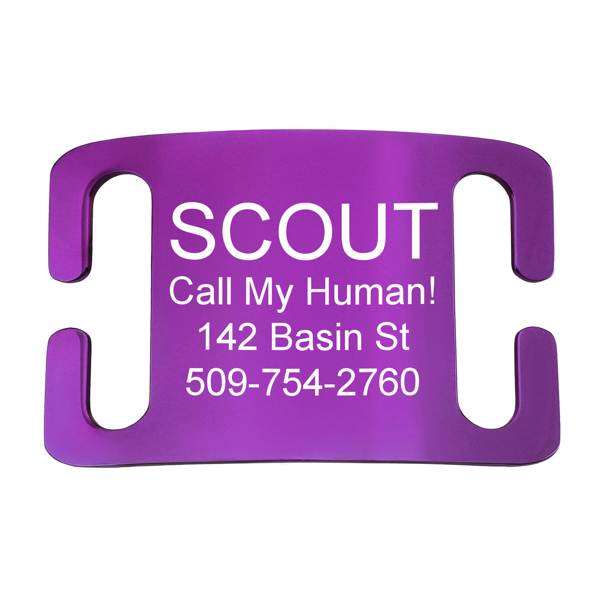 Silent Slide-On Pet ID Tag in Stainless Steel - Fits Most Collars