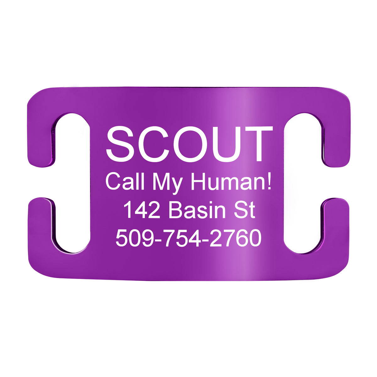Silent Slide-On Pet ID Tag in Stainless Steel - Fits Most Collars