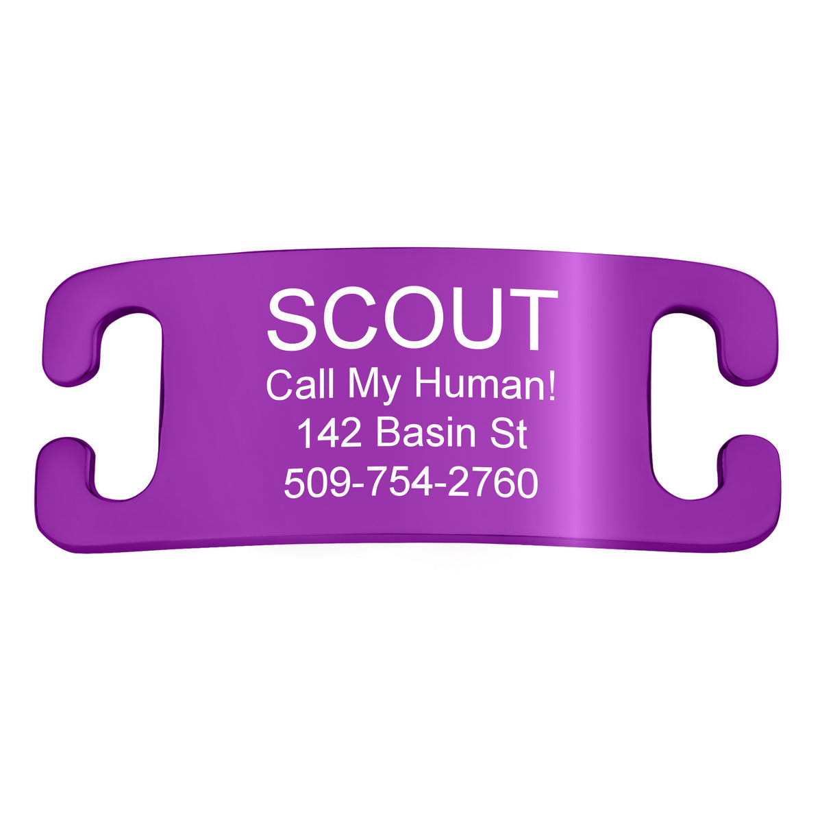 Silent Slide-On Pet ID Tag in Stainless Steel - Fits Most Collars