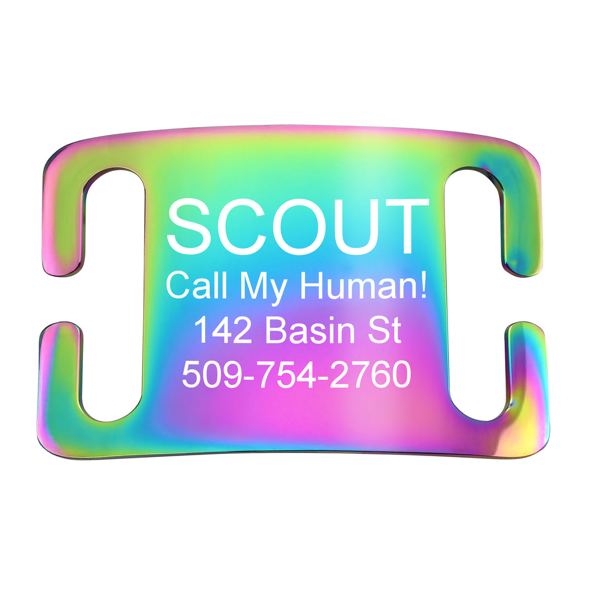 Front view of rainbow stainless steel slide-on pet ID tag engraved with SCOUT, Call My Human!, 142 Basin St, and 509-754-2760