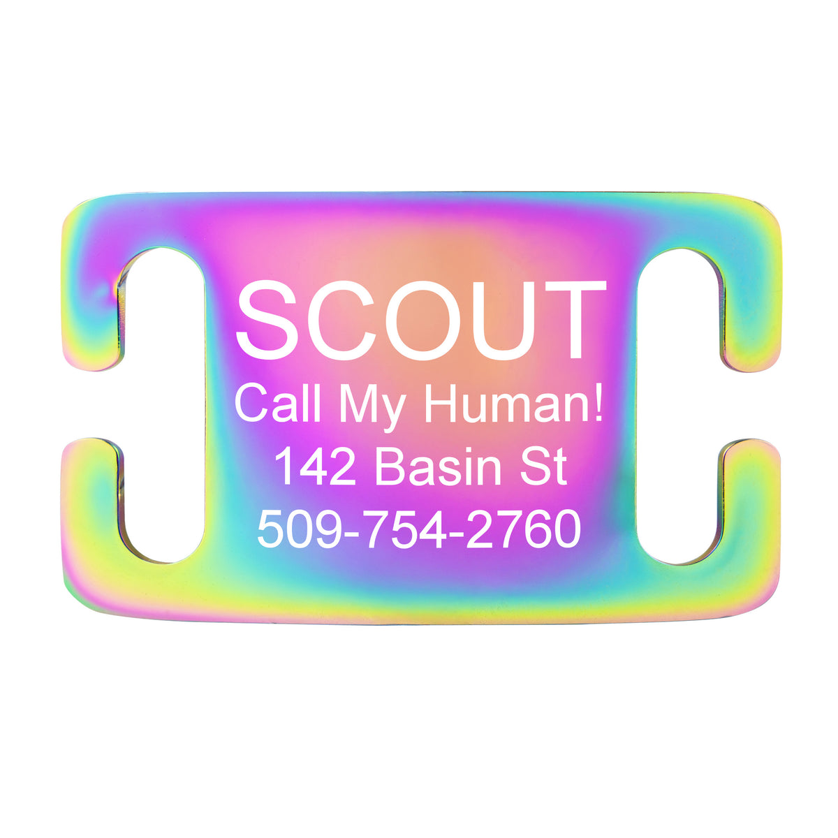 Silent Slide-On Pet ID Tag in Stainless Steel - Fits Most Collars