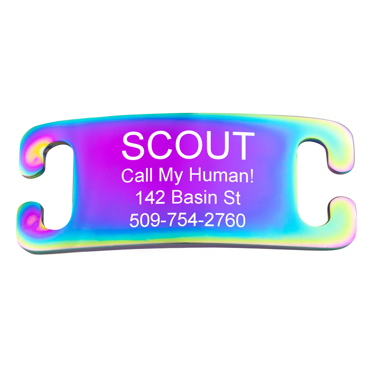 Silent Slide-On Pet ID Tag in Stainless Steel - Fits Most Collars