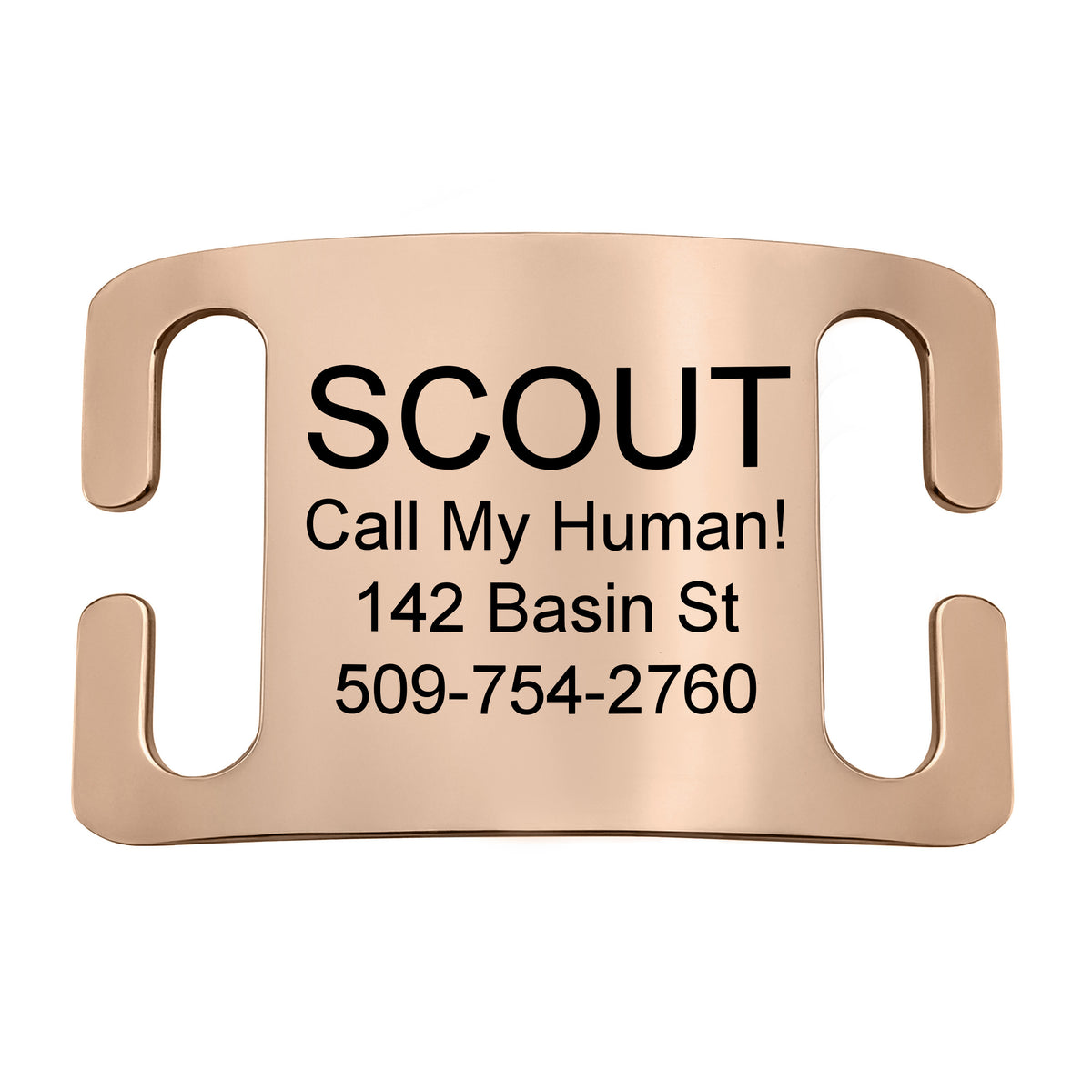 Silent Slide-On Pet ID Tag in Stainless Steel - Fits Most Collars