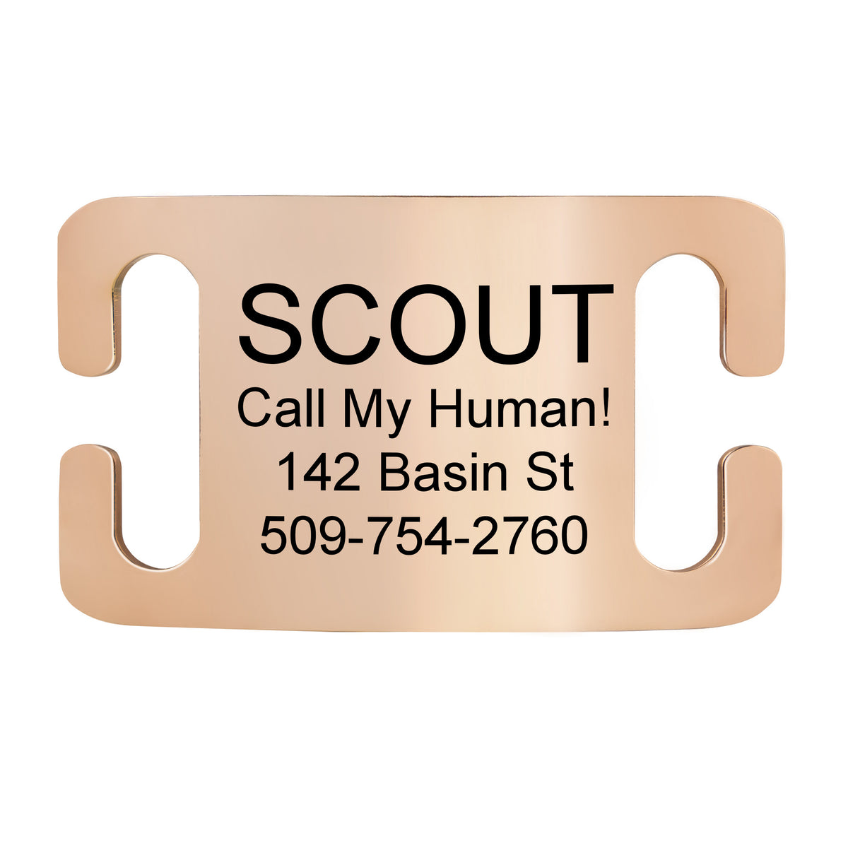 Silent Slide-On Pet ID Tag in Stainless Steel - Fits Most Collars