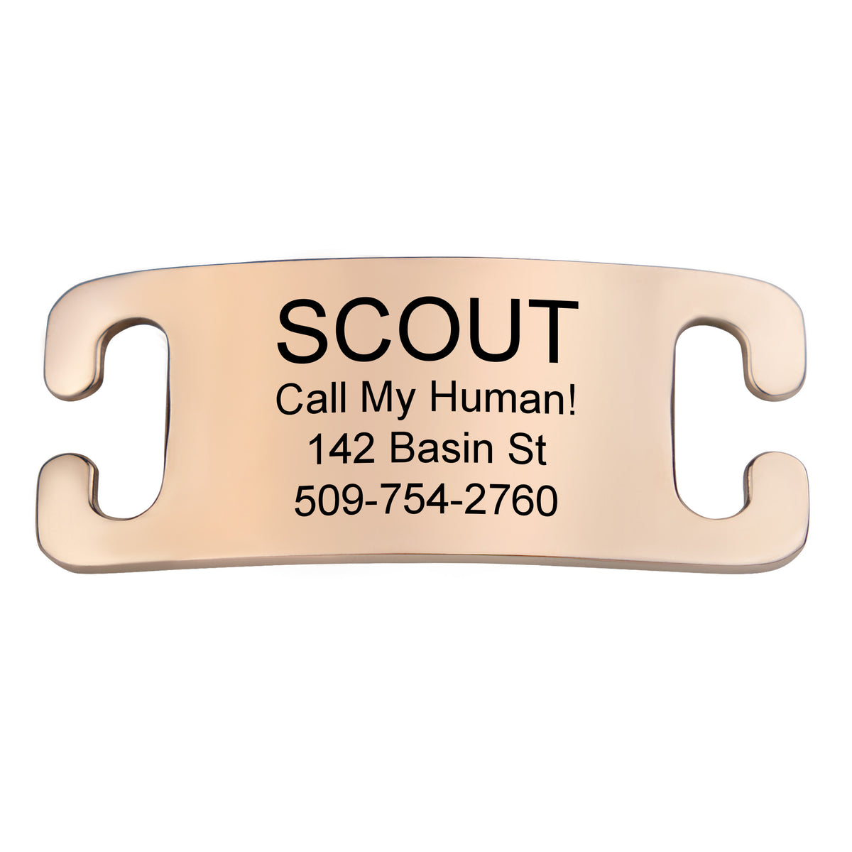 Silent Slide-On Pet ID Tag in Stainless Steel - Fits Most Collars