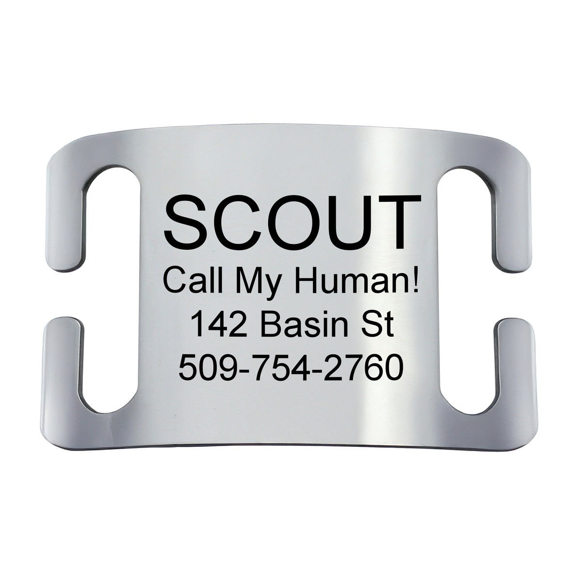 Front view of stainless steel slide-on pet ID tag showing engraving for Scout, Call My Human, 142 Basin St, and 509 754 2760