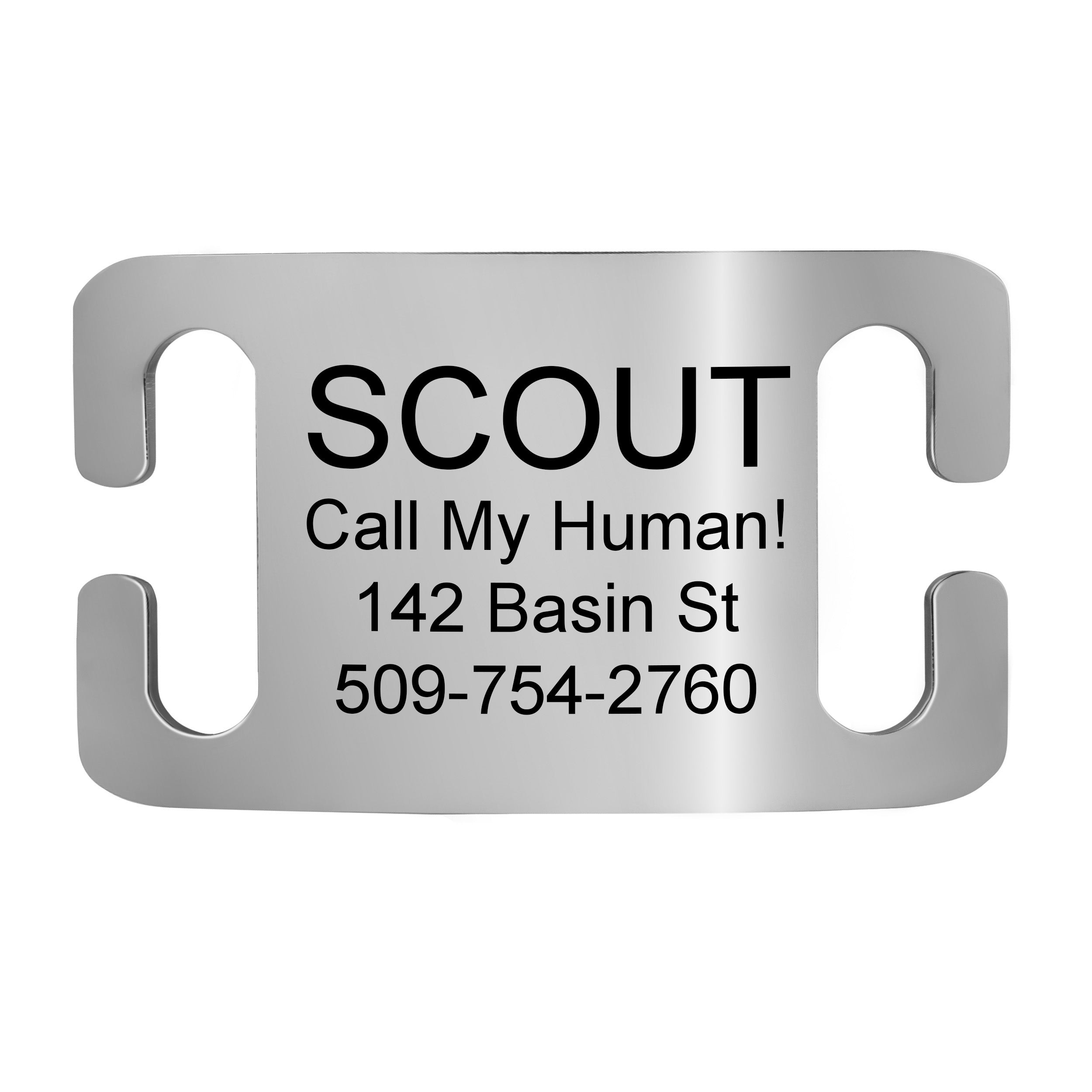 Silent Slide-On Pet ID Tag in Stainless Steel - Fits Most Collars
