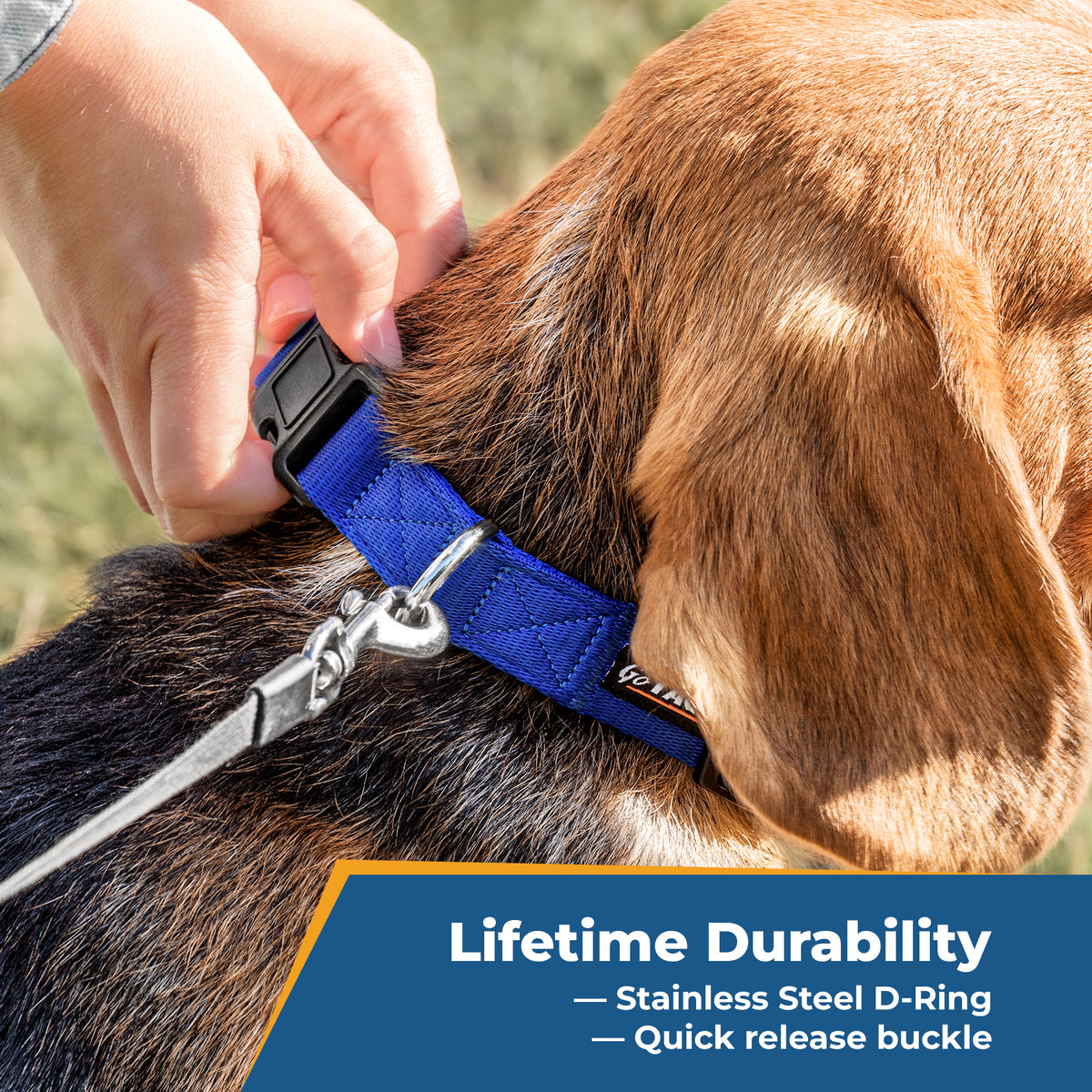 Close-up of blue embroidered dog collar on a dog with metal D-ring, quick-release buckle, and Lifetime Durability overlay