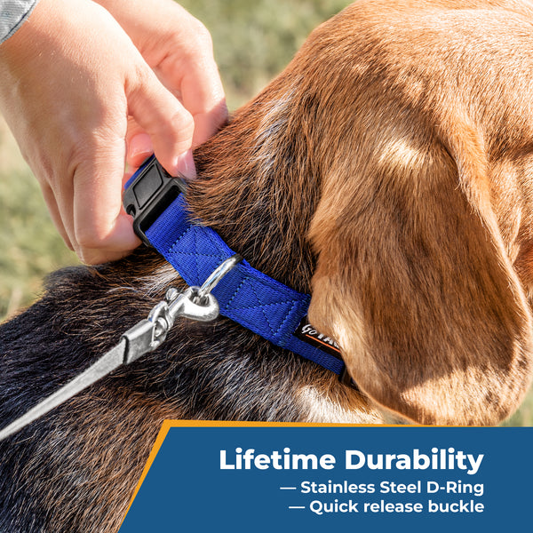Embroidered Personalized Dog Collar with Quick Release Buckle