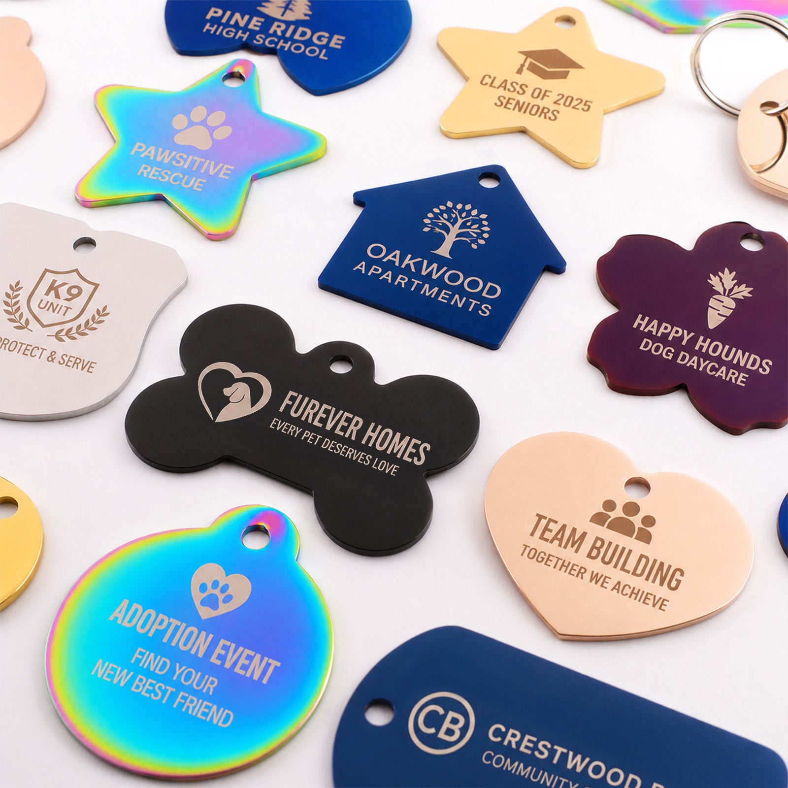 Flat lay of engraved pet ID tags in various shapes and metal and rainbow finishes on white background