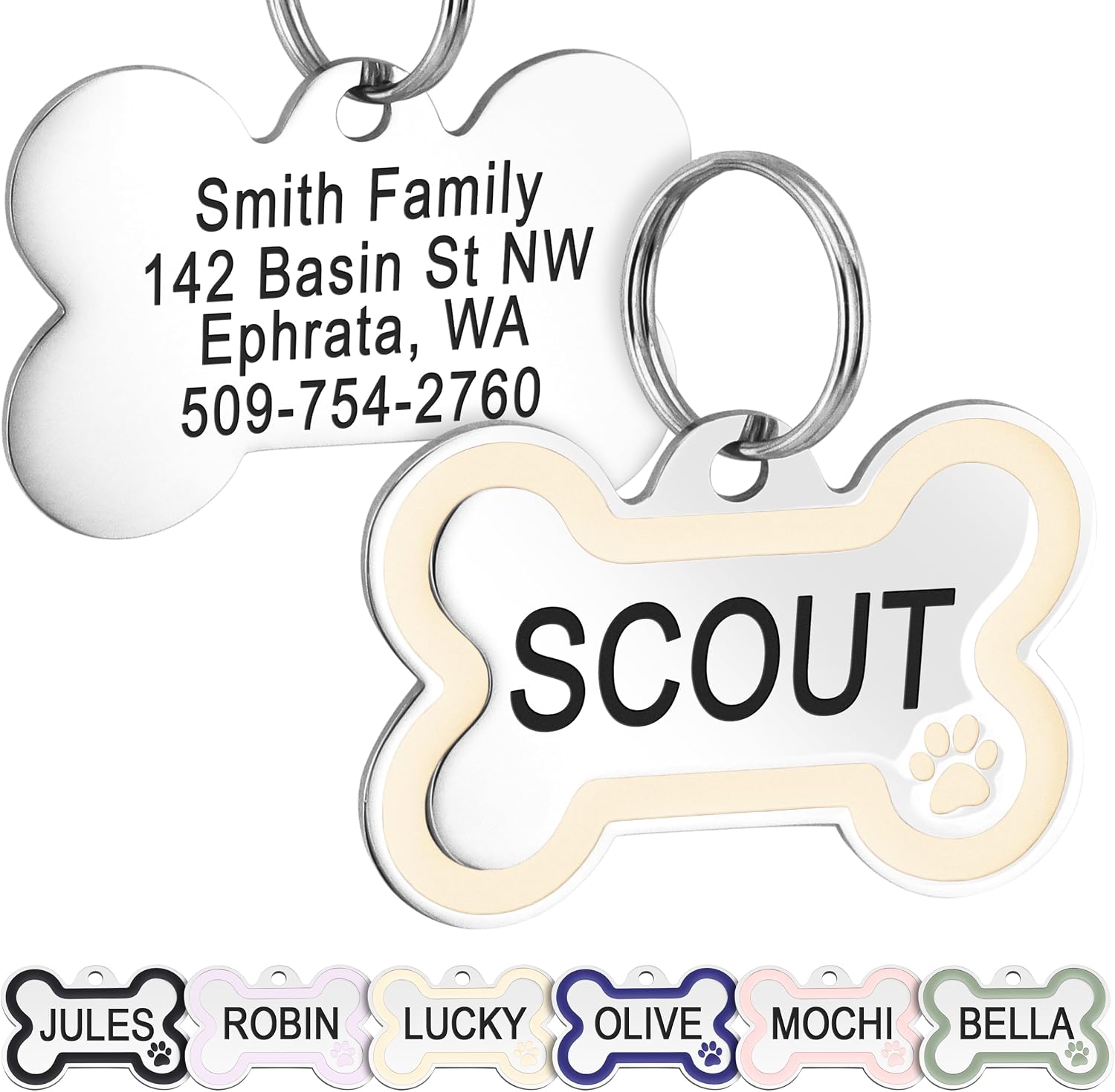Front view of Bone Dog ID Tag with Enamel Paw showcasing cream enamel paw print and Scout engraving with sample tags below