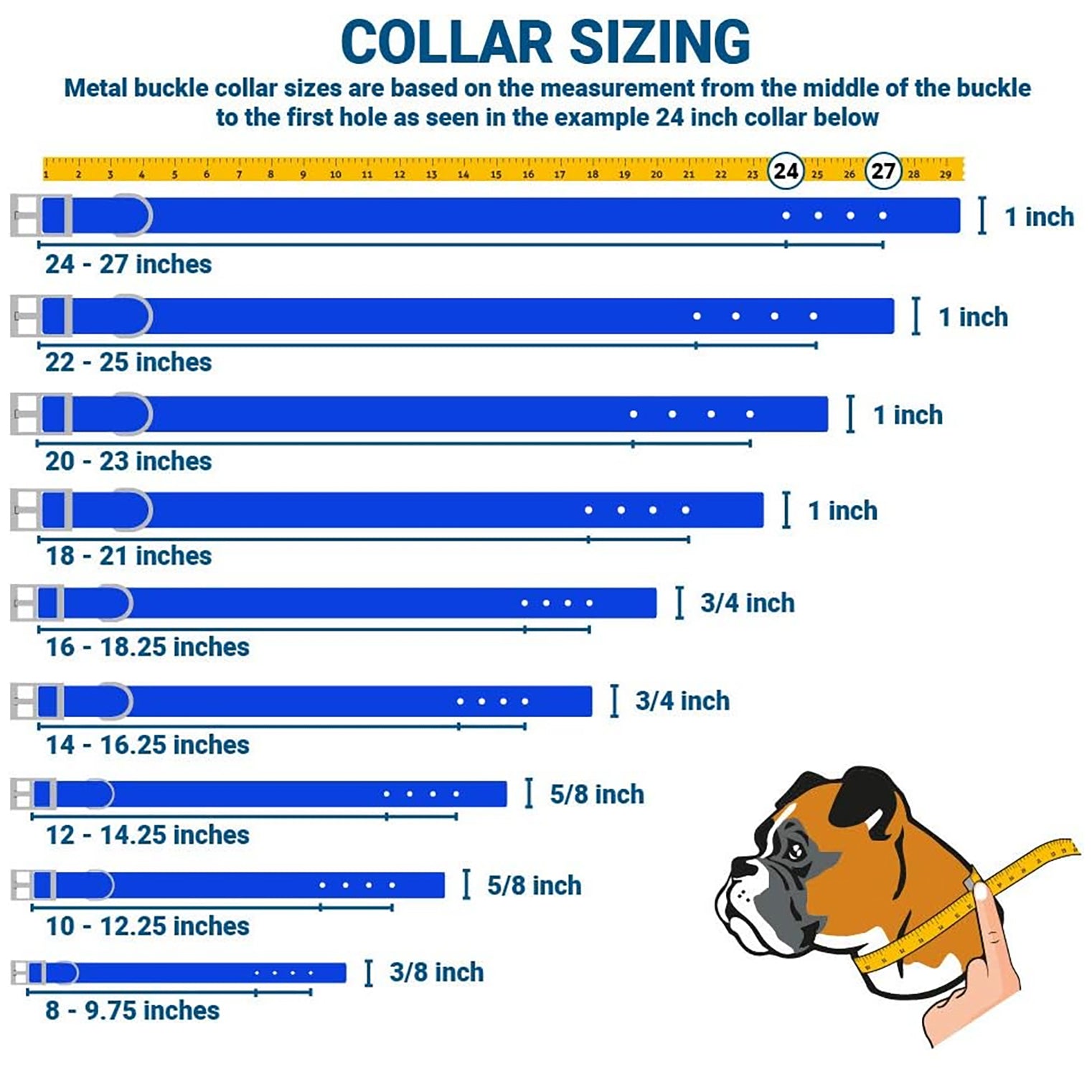 Collar sizing infographic showing how to measure from buckle midpoint to first hole and recommended lengths and widths