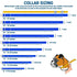 Collar sizing infographic showing how to measure from buckle midpoint to first hole and recommended lengths and widths