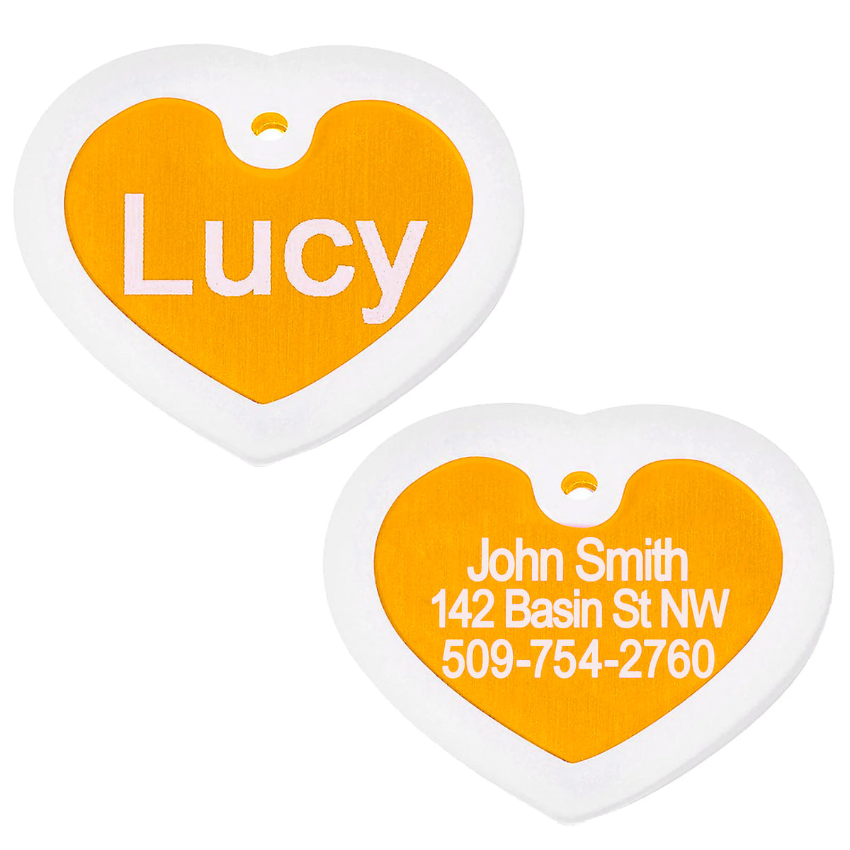 Pet ID Tags with Tag Silencer