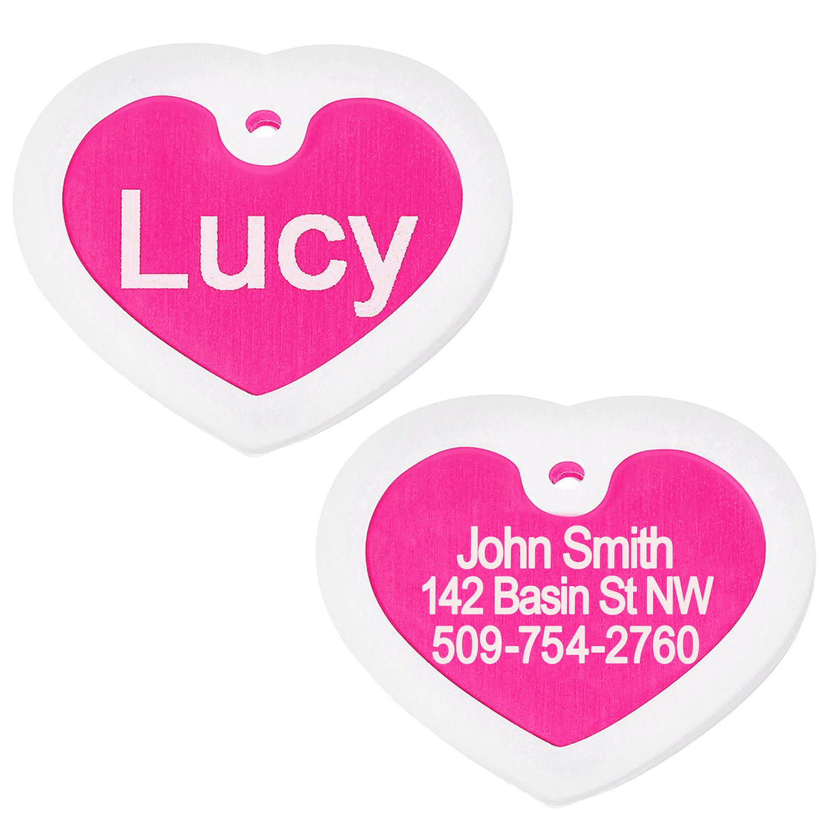 Pet ID Tags with Tag Silencer