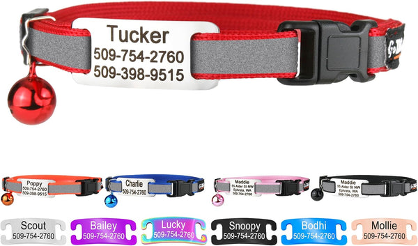 Personalized Reflective Cat Collar with Tag and Safety Buckle